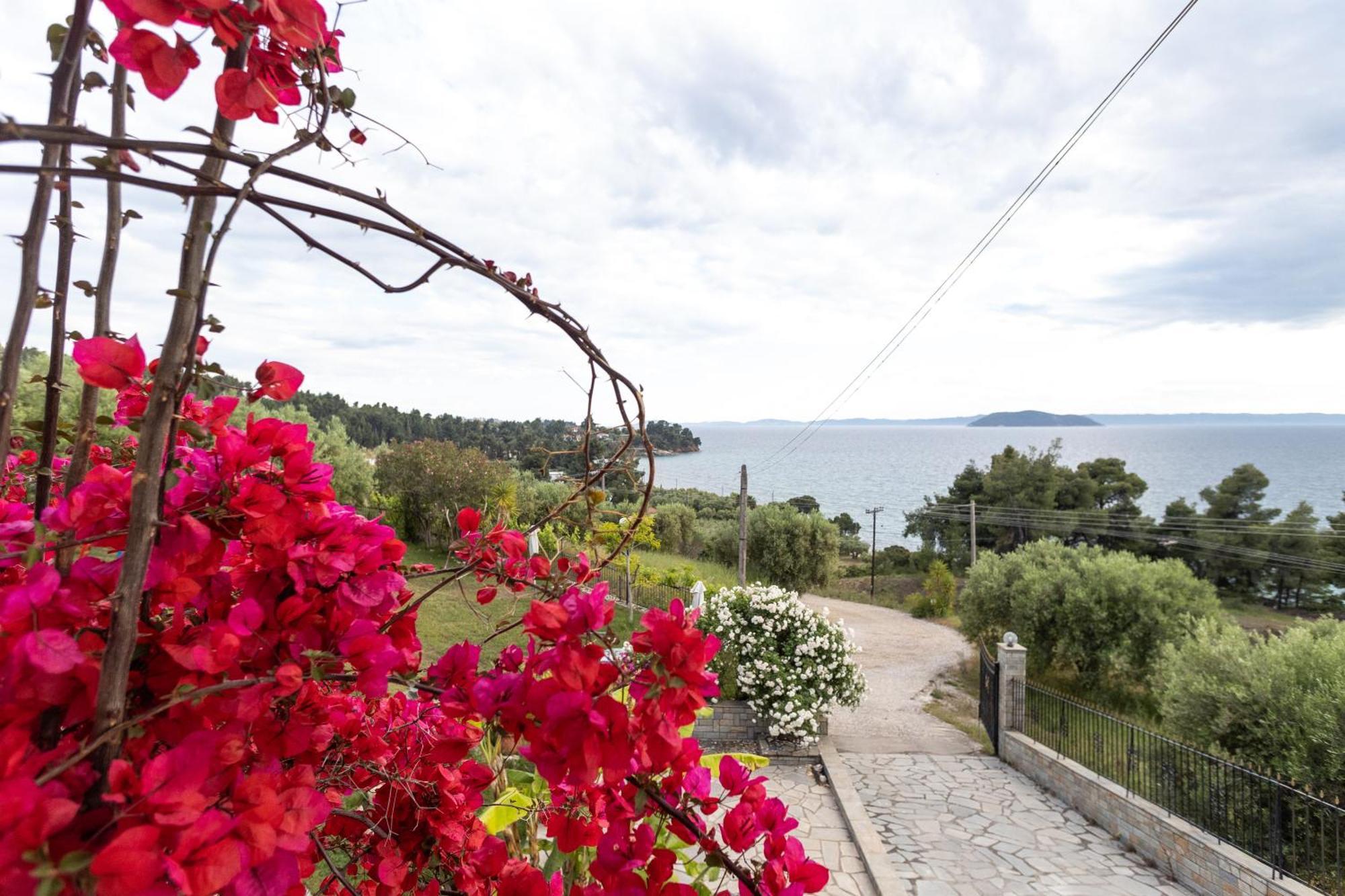 House Panorama Sea View Apartment Neos Marmaras Luaran gambar